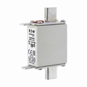 Fuse 170M1565D